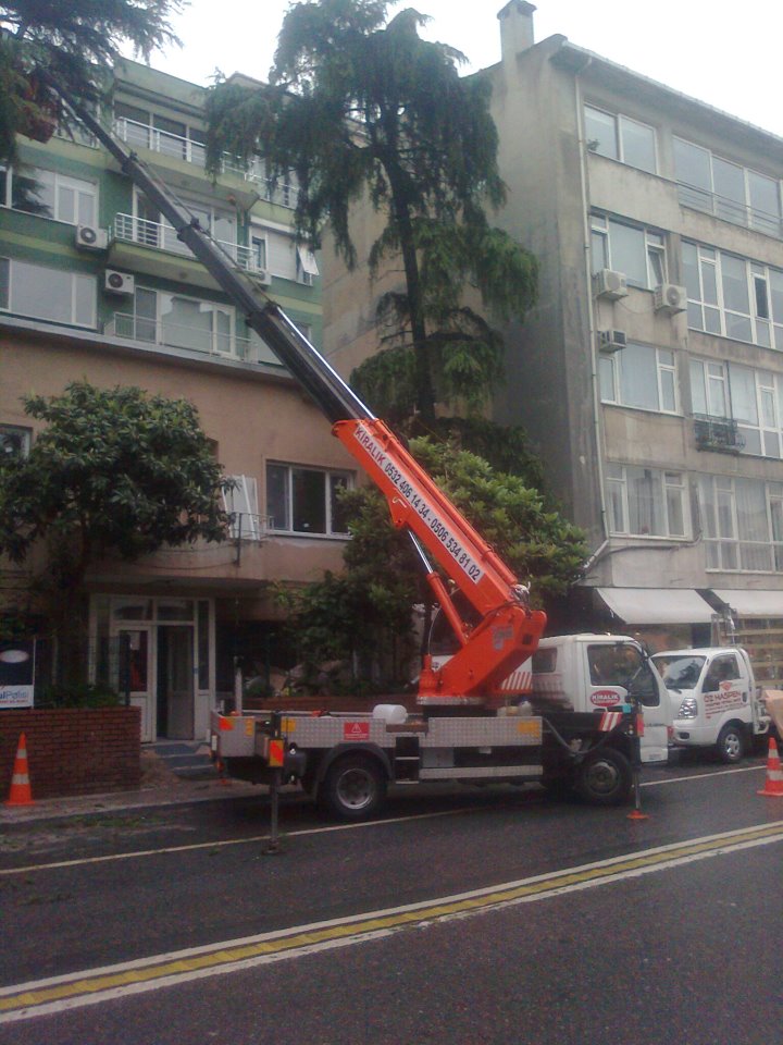 Ataşehir Vinçle Ağaç Budama ve Kesim | Profesyonel Peyzaj